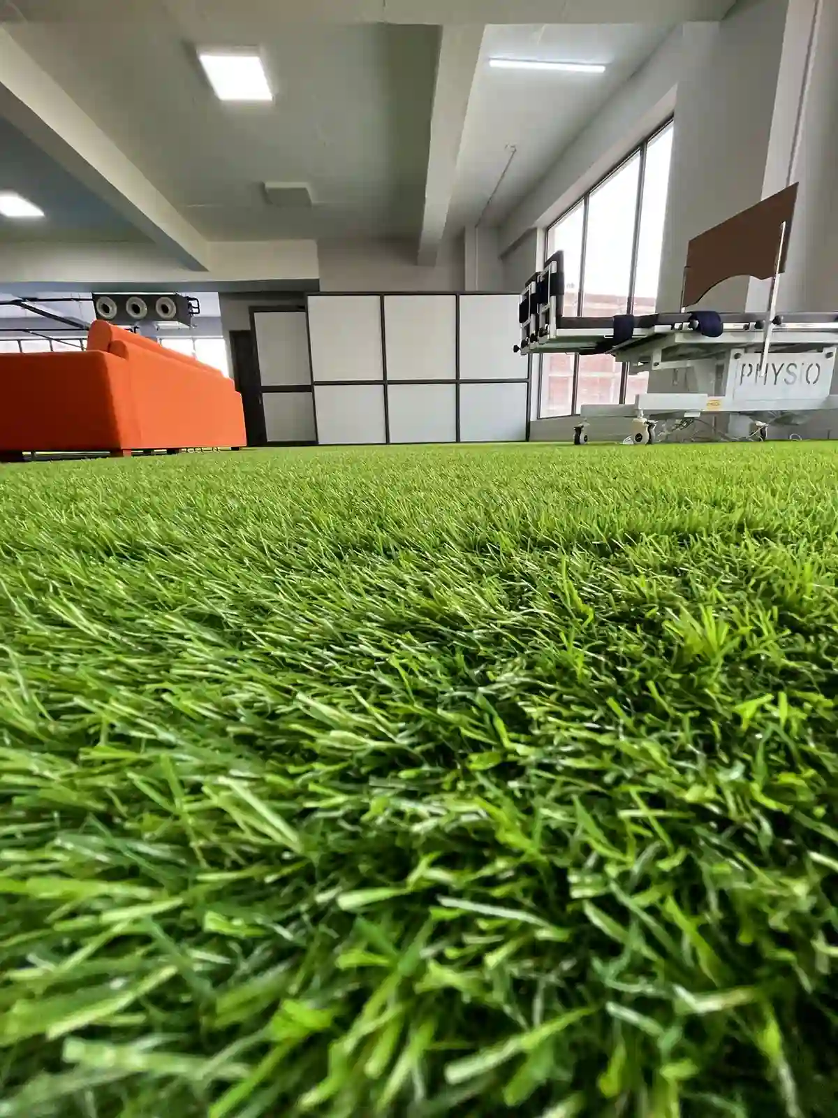 Artificial Green Grass Provider in Mohali
